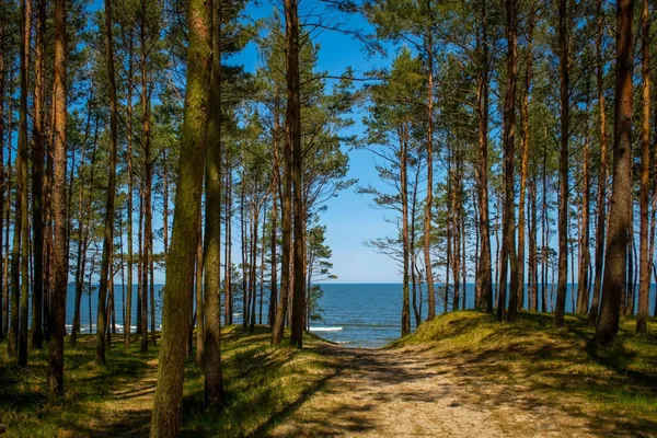 Przykładowe zdjęcie 7